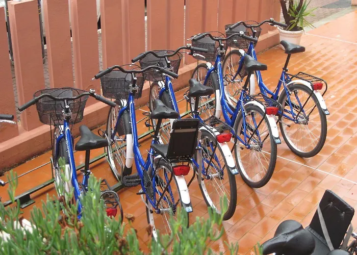 Amadei Promenade 3* Pesaro